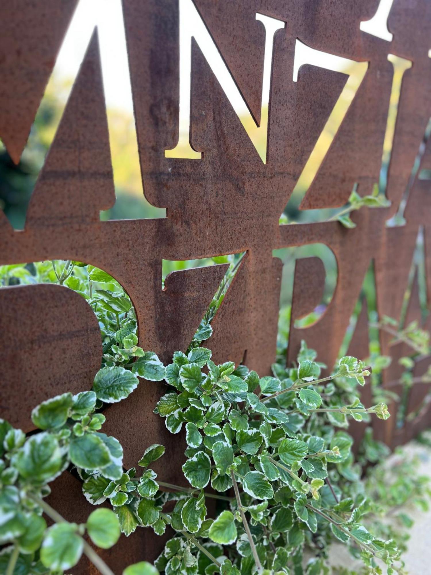 Tenuta Zamparina Montignoso Zewnętrze zdjęcie